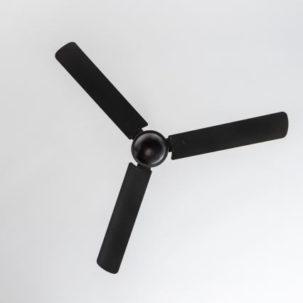 ZEVENTI - Ventilador de teto TOFINO preto