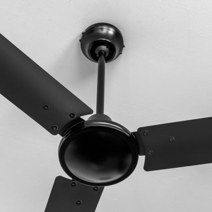 ZEVENTI - Ventilador de teto TOFINO preto