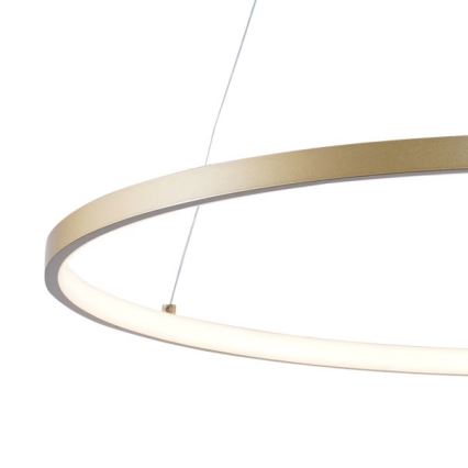 Zuma Line - Candeeiro suspenso LED LED/36W/230V 3000/4000/6000K diâmetro 80 cm dourado