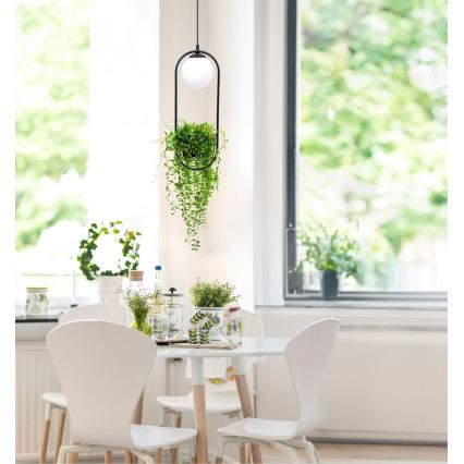 Zuma Line - Candelabro suspenso 1xE14/40W/230V preto