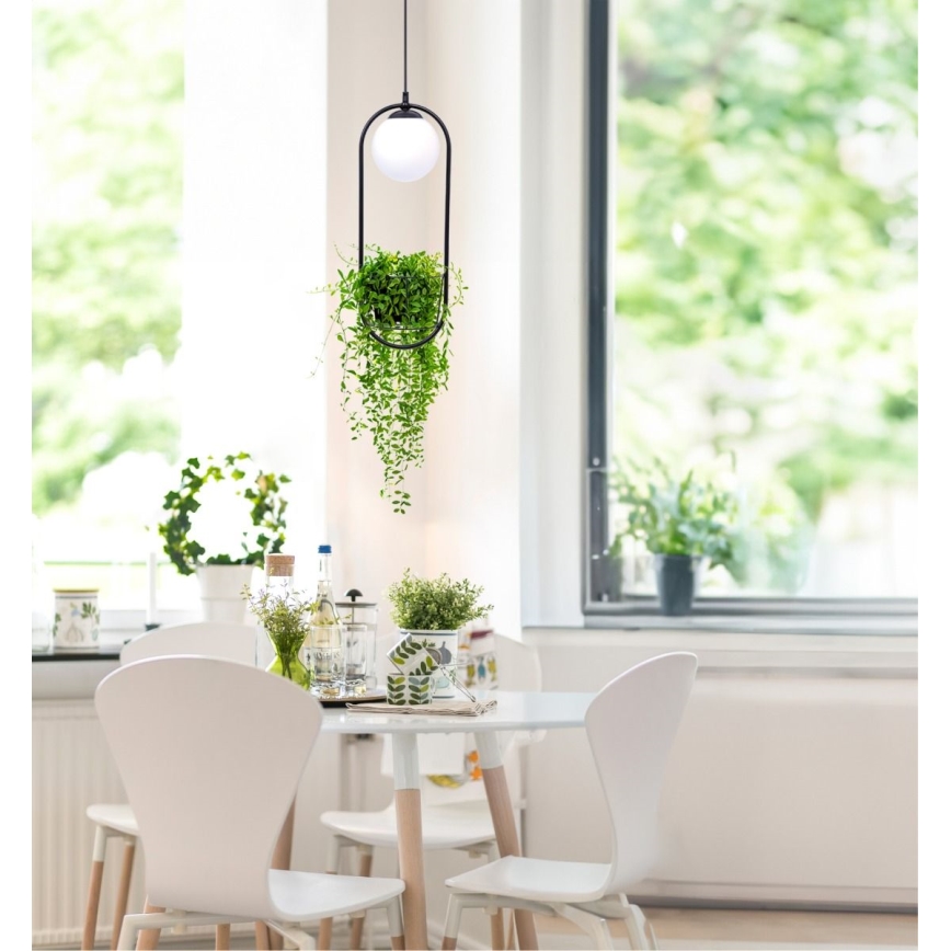 Zuma Line - Candelabro suspenso 1xE14/40W/230V preto