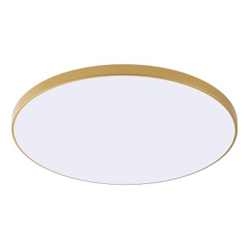 Zuma Line - Candeeiro de tecto LED VERI LED/44W/230V diâmetro 47 cm dourado