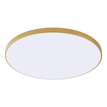 Zuma Line - Candeeiro de teto LED VERI LED/32W/230V Ø 37 cm dourado