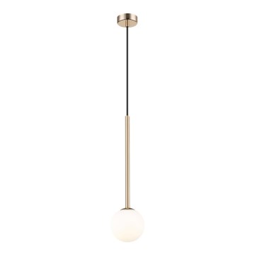 Zuma Line - Candeeiro suspenso 1xG9/4W/230V dourado