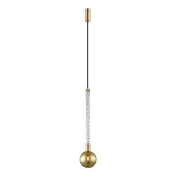 Zuma Line - Candeeiro suspenso 1xG9/6W/230V latão