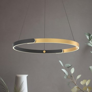 Zuma Line - Candeeiro suspenso LED com regulação LED/30W/230V preto/dourado
