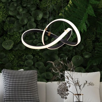 Zuma Line - Candeeiro suspenso LED com regulação LED/44W/230V preto/dourado