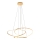 Zuma Line - Candeeiro suspenso LED com regulação LED/56W/230V dourado