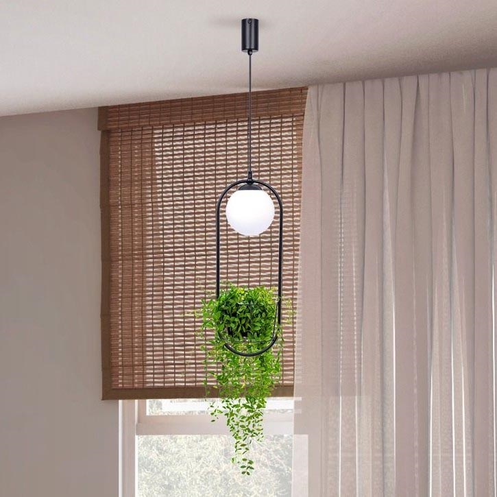 Zuma Line - Candelabro suspenso 1xE14/40W/230V preto