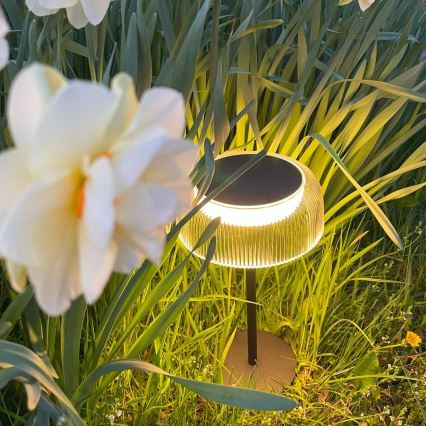 Zuma Line - Candeeiro de mesa solar LED com regulação LED/2,5W/2000 mAh IP44 preto