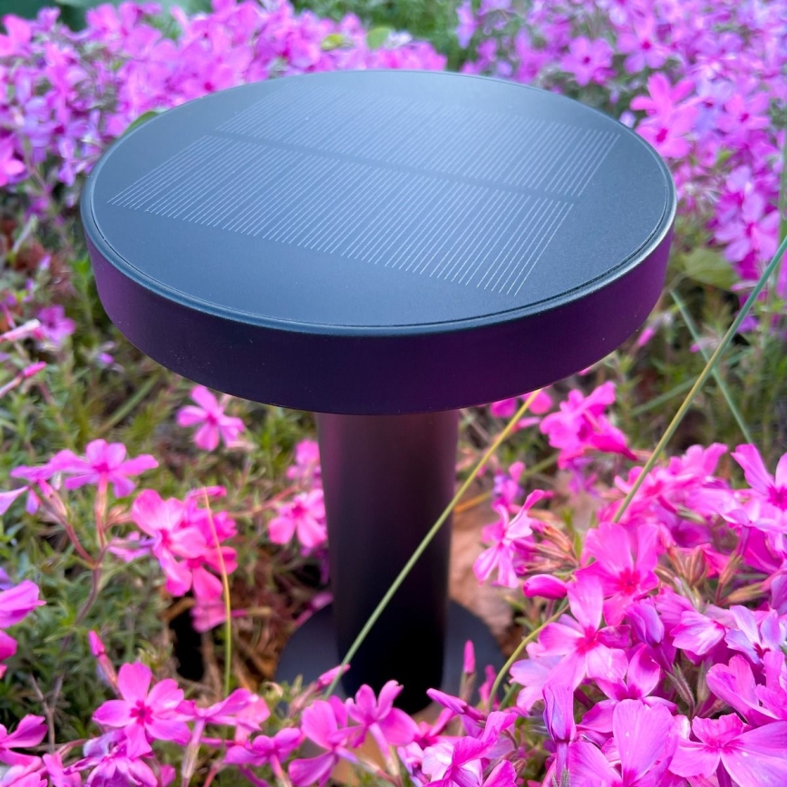 Zuma Line - Candeeiro de mesa solar LED com regulação LED/2W/2000 mAh IP44 preto