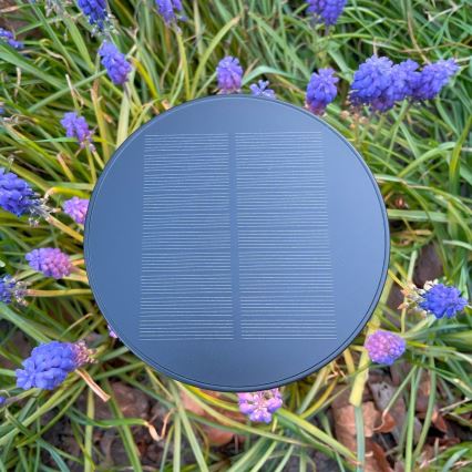 Zuma Line - Candeeiro de mesa solar LED com regulação LED/2W/2000 mAh IP44 preto