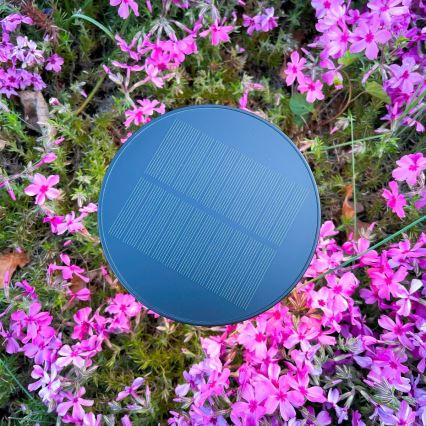 Zuma Line - Candeeiro de mesa solar LED com regulação LED/2W/2000 mAh IP44 preto
