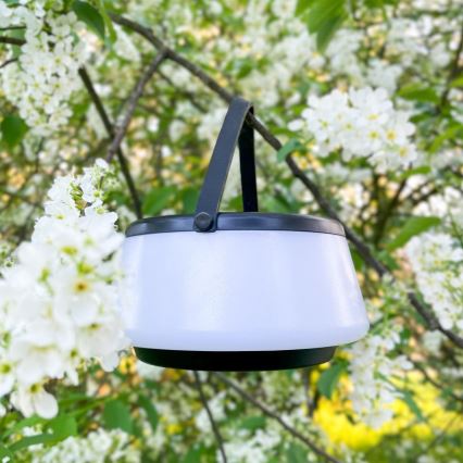 Zuma Line - Candeeiro de mesa solar LED com regulação LED/2,2W/2000 mAh IP44 preto