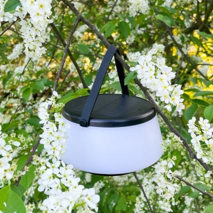 Zuma Line - Candeeiro de mesa solar LED com regulação LED/2,2W/2000 mAh IP44 preto