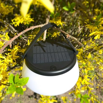 Zuma Line - Candeeiro de mesa solar LED com regulação LED/2,2W/2000 mAh IP44 preto