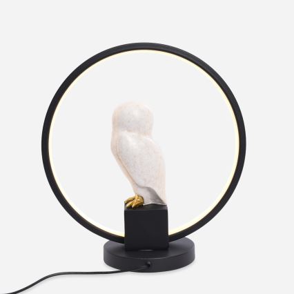 Zuma Line - Candeeiro de mesa LED LED/4W/5V preto/branco