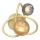 Zuma Line - Iluminação de parede 2xG9/3,5W/230V dourado