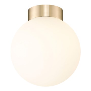 Zuma Line - Iluminação de teto 1xG9/4W/230V dourado