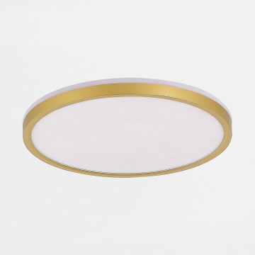 Zuma Line - Iluminação de teto LED com regulação LED/26,5W/230V + LED/6,5W 3000/4000/5500K diâmetro 32 cm dourado
