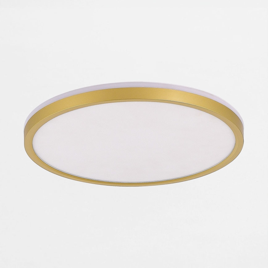 Zuma Line - Iluminação de teto LED com regulação LED/26,5W/230V + LED/6,5W 3000/4000/5500K diâmetro 32 cm dourado