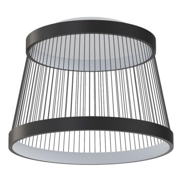 Zuma Line - Iluminação de teto LED com regulação LED/32W/230V 2700-6000K preto + comando