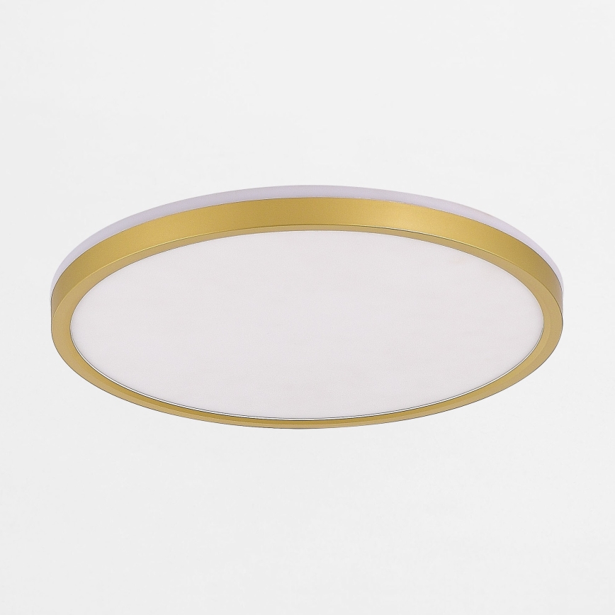 Zuma Line - Iluminação de teto LED com regulação LED/38W/230V + LED/11W 3000/4000/5500K diâmetro 50 cm dourado