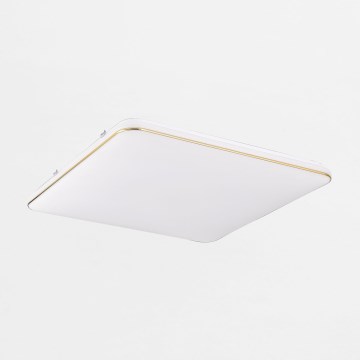 Zuma Line - Iluminação de teto LED com regulação LED/48W/230V 53x53 cm dourado