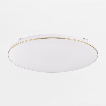 Zuma Line - Iluminação de teto LED com regulação OMAR LED/48W/230V diâmetro 53 cm dourado
