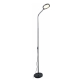 Zuma Line - Lâmpada de pé LED regulável LED/10W/230V 3000/4500/6500K preta