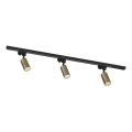 Zuma Line - Luminária de spots para sistema de trilho 3xGU10/35W/230V preto/dourado