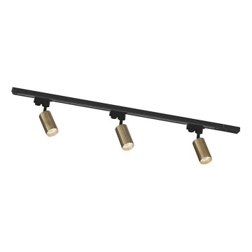 Zuma Line - Luminária de spots para sistema de trilho 3xGU10/35W/230V preto/dourado