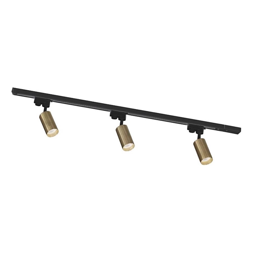 Zuma Line - Luminária de spots para sistema de trilho 3xGU10/35W/230V preto/dourado