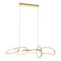 Zuma Line - Lustre LED dimmerizável com cabo LED/56W/230V dourado