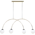 Zuma Line - Lustre suspenso por cabo 4xE14/10W/230V dourado