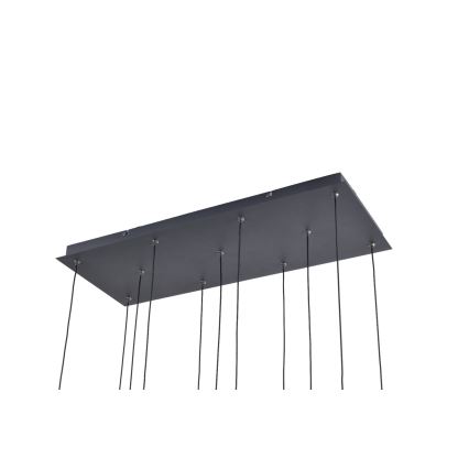 Zuma Line - Lustre LED suspenso por cabo 11xLED/3W/230V preto