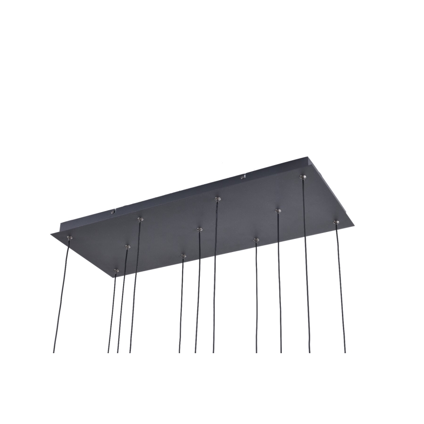 Zuma Line - Lustre LED suspenso por cabo 11xLED/3W/230V preto
