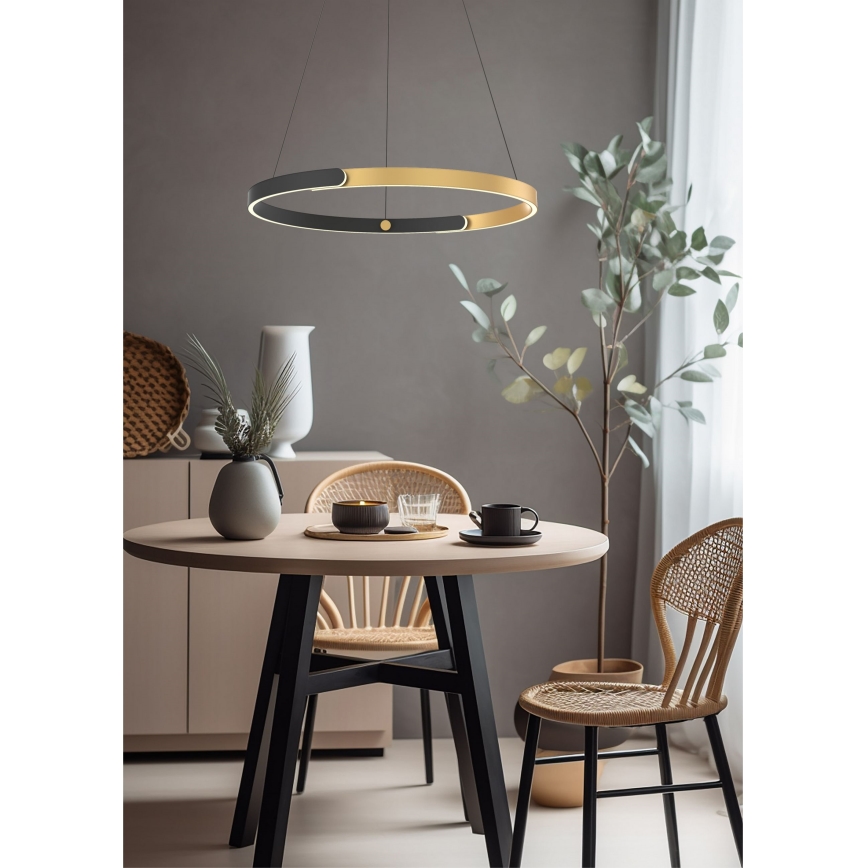 Zuma Line - Candeeiro suspenso LED com regulação LED/30W/230V preto/dourado