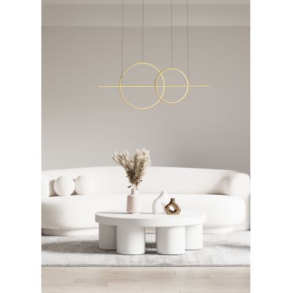 Zuma Line - Candeeiro suspenso LED com regulação LED/34W/230V dourado