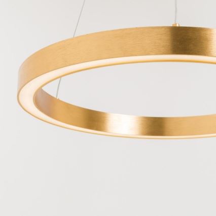 Zuma Line - Candelabro suspenso LED 1xLED/40W/230V d. 50 cm dourado